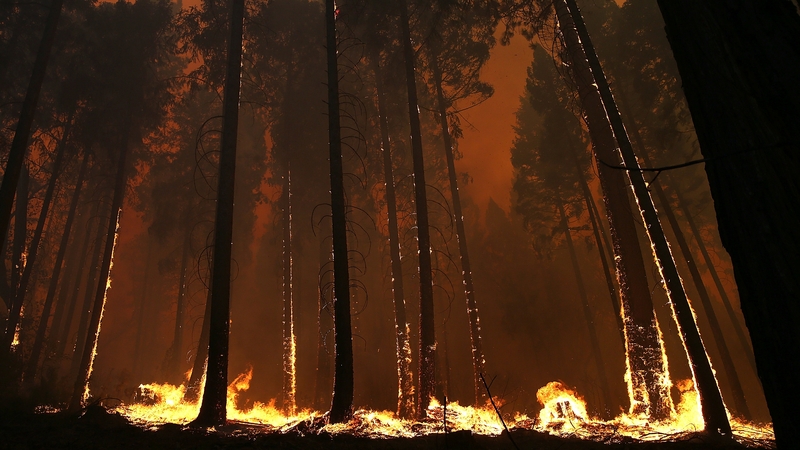 The so-called Rim Fire erupted nearly three weeks ago in the Stanislaus National Forest west of Yosemite