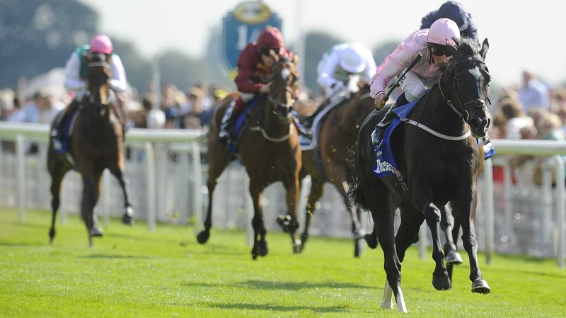 The Fugue's love of fast ground could yet propel her into clear favouritism for the Irish Champion Stakes