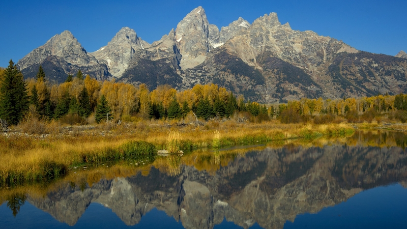 Jackson Hole summit hears of threats posed by global liquidity