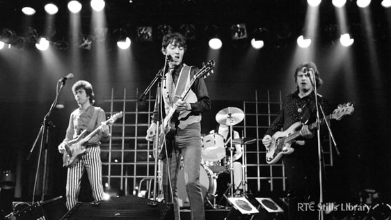 'Zen Alligators' (1982)