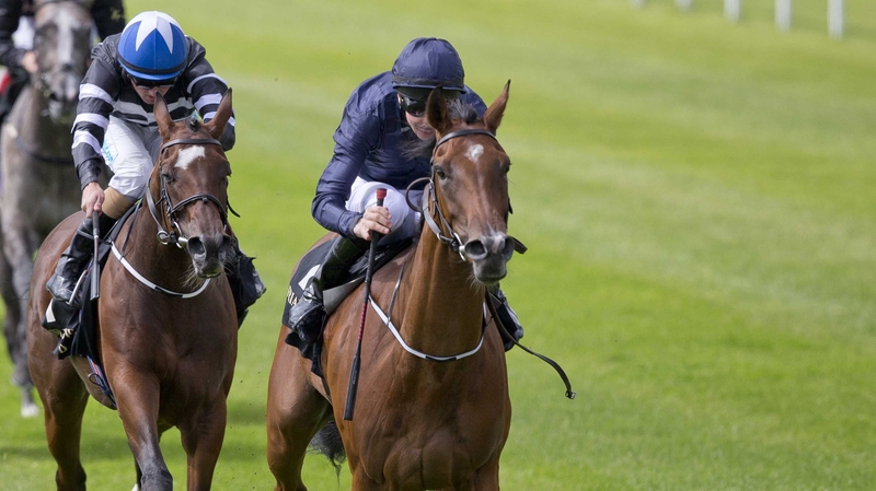 Tapestry has won two out of two at the Curragh this year