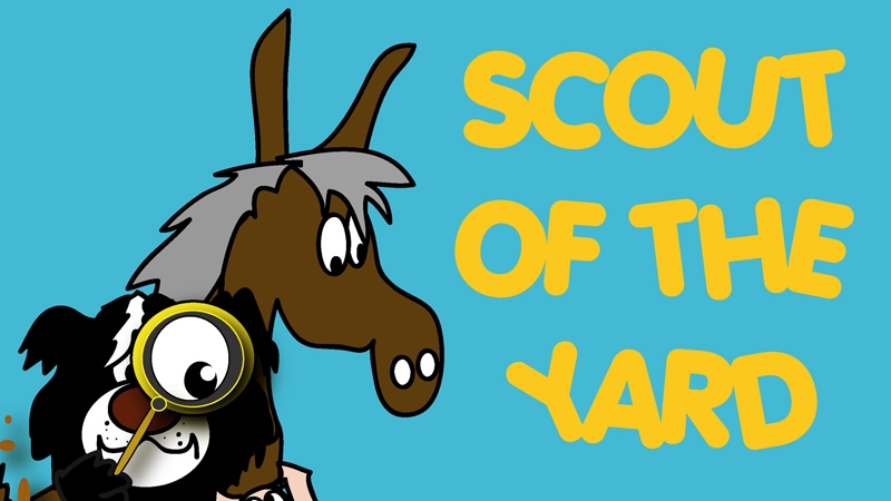 RTÉ Jr's new star - Scout of the Yard