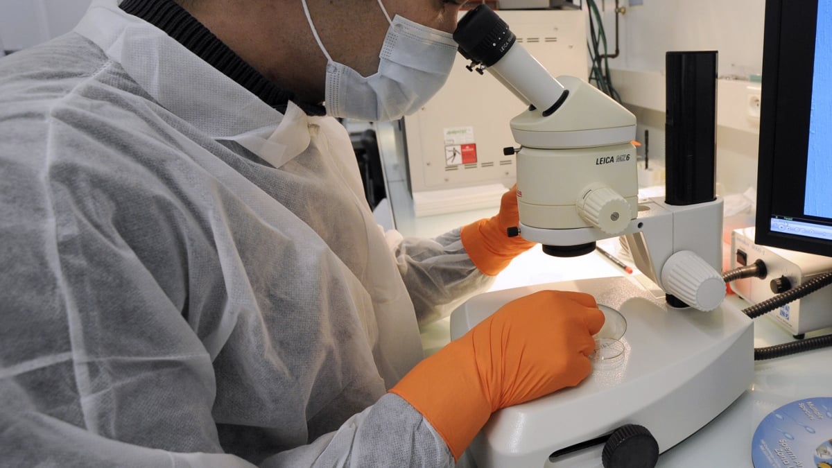 Pancreatic Cancer Breakthrough