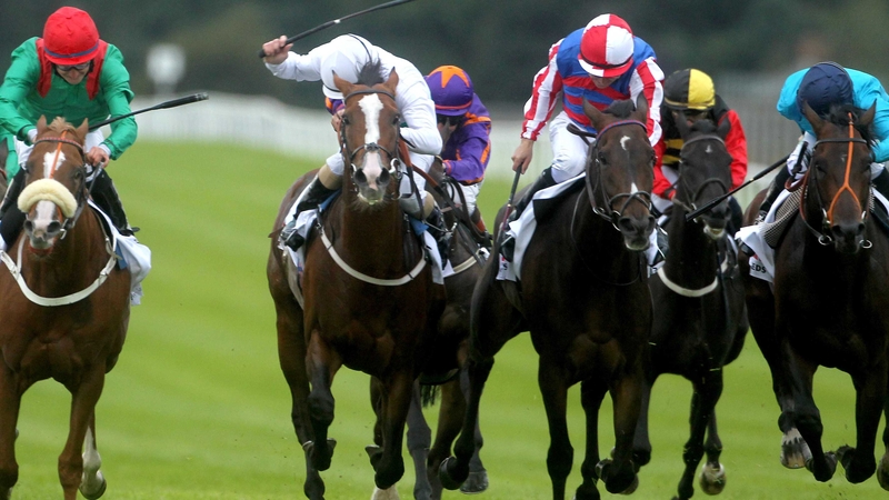 Royal Diamond (red and white cap) will run in Navan on Sunday