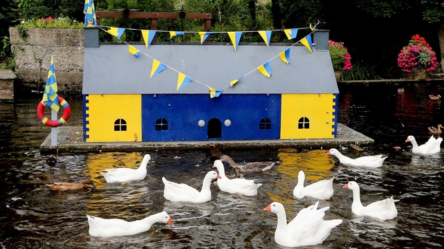 Clare fans made a special home for the birds ahead of the All-Ireland hurling final
