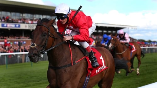 Irish raider Gordon Lord Byron finished fourth in last year's Hong Kong Mile