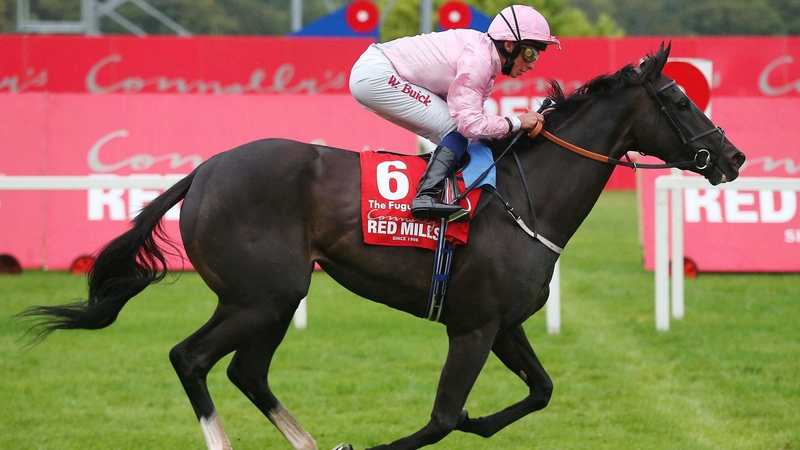 The daughter of Dansili won six of her 17 starts