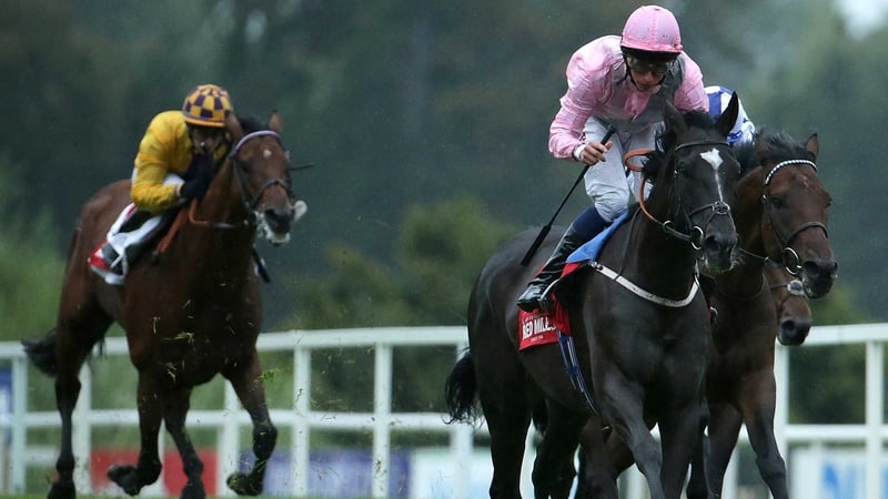 The Irish Champion Stakes goes for export as The Fugue wins in fine style