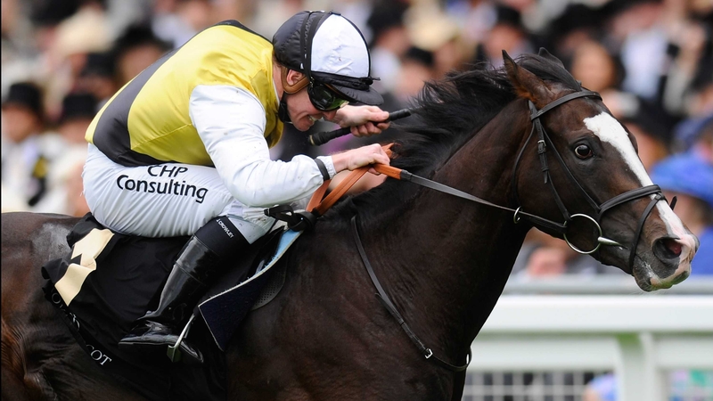 Berkshire was an aptly-named Royal Ascot winner in June