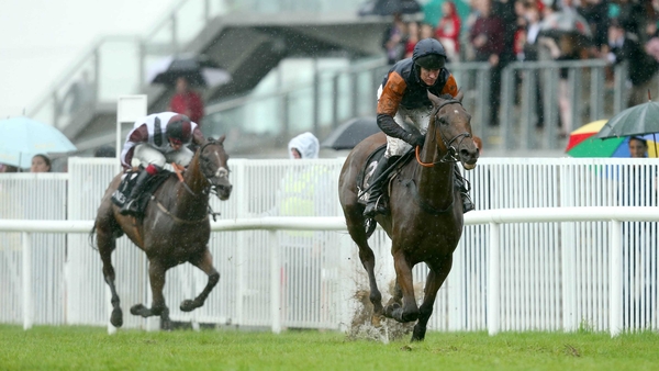 Rebel Fitz (R) is rated as a 50/50 chance of a return to racing