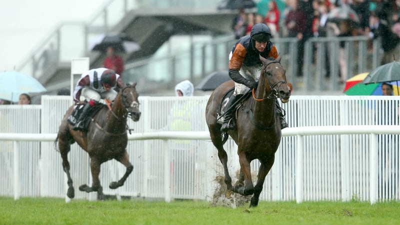 Rebel Fitz (R) is rated as a 50/50 chance of a return to racing