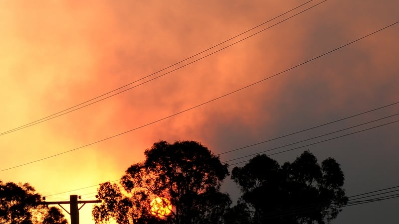 The Sydney bushfires started burning out of control on Tuesday