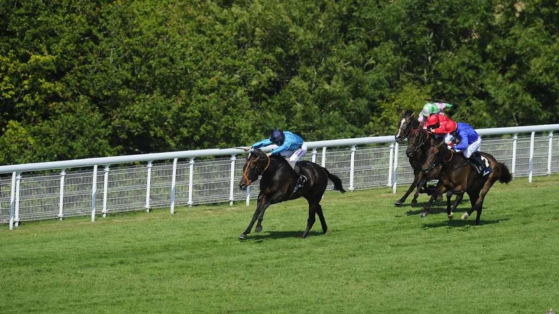 Brown Panther, here winning the Goodwood Cup, was most recently seen in the Melbourne Cup