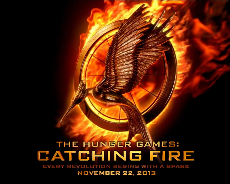The Hunger Games: Catching Fire is set to break box office records when it opens later this month