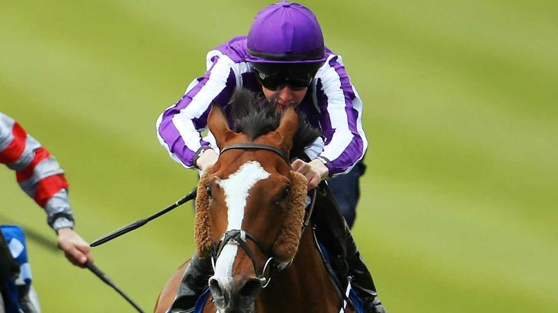 Leading Light won last year's St Leger
