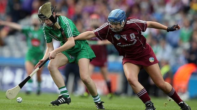 Galway and Limerick faced off in the intermediate final