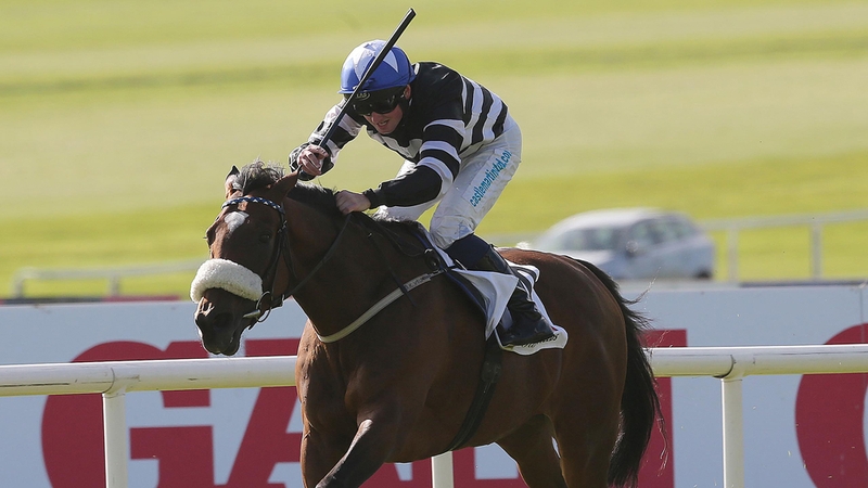 Voleuse de Coeurs winning the 2013 Irish St Leger at the Curragh
