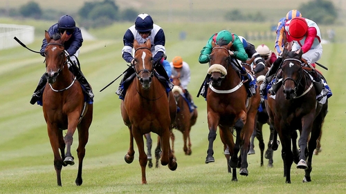 The first race at Listowel gets under way at 3.45pm