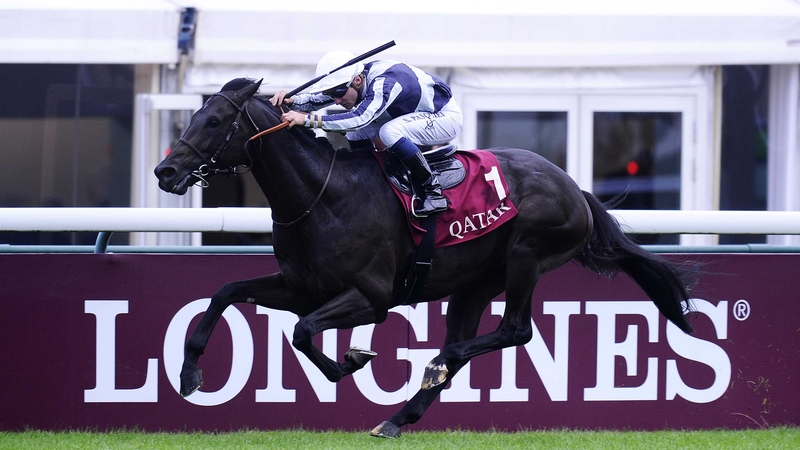 Maxios, a half-brother to 2004 Prix de l'Arc de Triomphe winner Bago, recorded a second Group One career win at Longchamp on Sunday