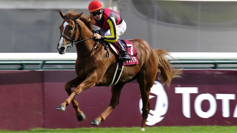 Racing fans in Japan have a major say in the fields for some of their biggest races, with the top ten runners in the Arima Kinen selected via a fan poll while the remainder of the field is determined by earnings