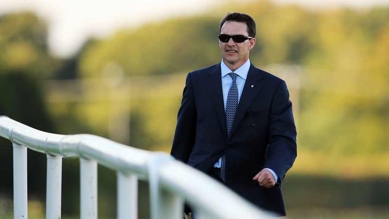 Second Irish Cesarewitch win for O'Brien after Bright Horizon in 2010