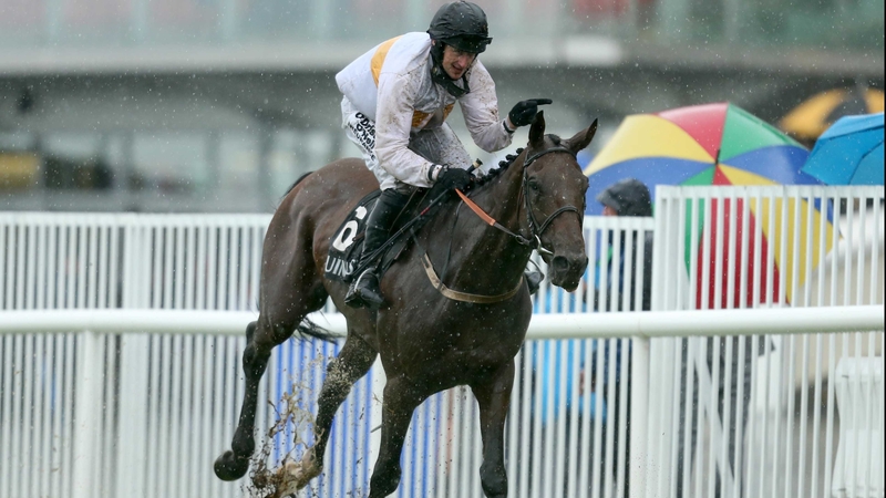 Golden Wonder will almost certainly run in the Galway Plate