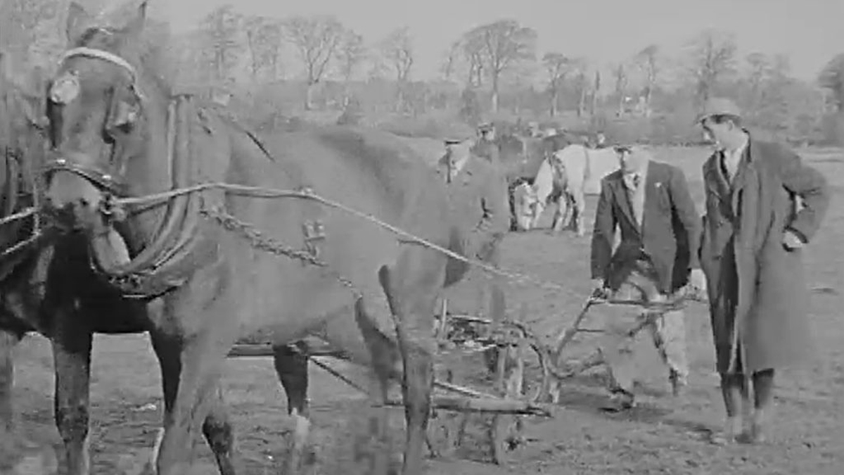 Clár #225: Feirmeoireacht & An tEarrach