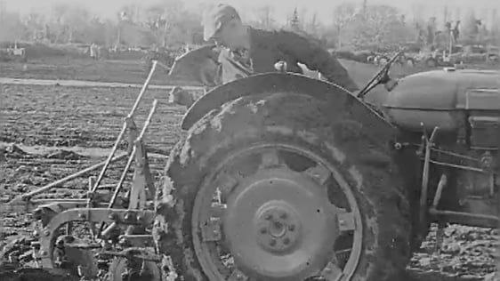 National Ploughing Championships (1961)