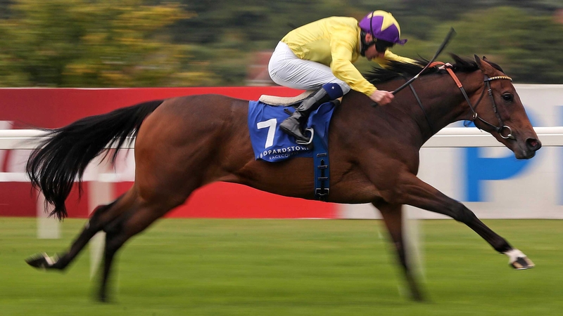 My Titania is the one to beat at the C.L. Weld Park Stakes