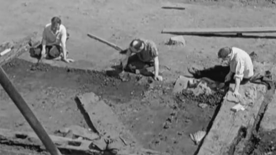 Archaeological Dig in Dublin