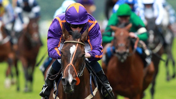 Simenon had a disappointing run for Willie Mullins