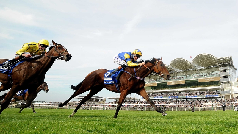 Chriselliam was delivered in typically late style by Richard Hughes to win a shade cosily