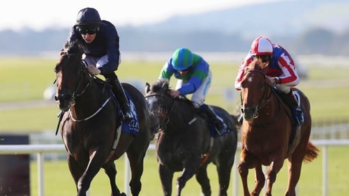 Aidan O'Brien's Geoffrey Chaucer (L) remains unbeaten