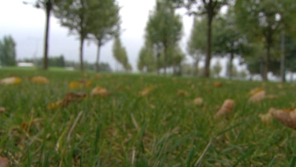 Two young girls attending a birthday party in Athlone were raped at a house near the party