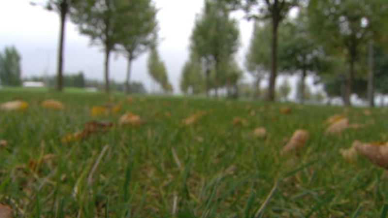 Two young girls attending a birthday party in Athlone were raped at a house near the party