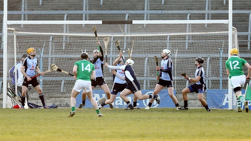 Limerick lost the Division 1B final