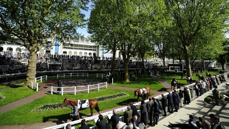 Another high-quality renewal of the Prix de l'Arc is in store this weekend