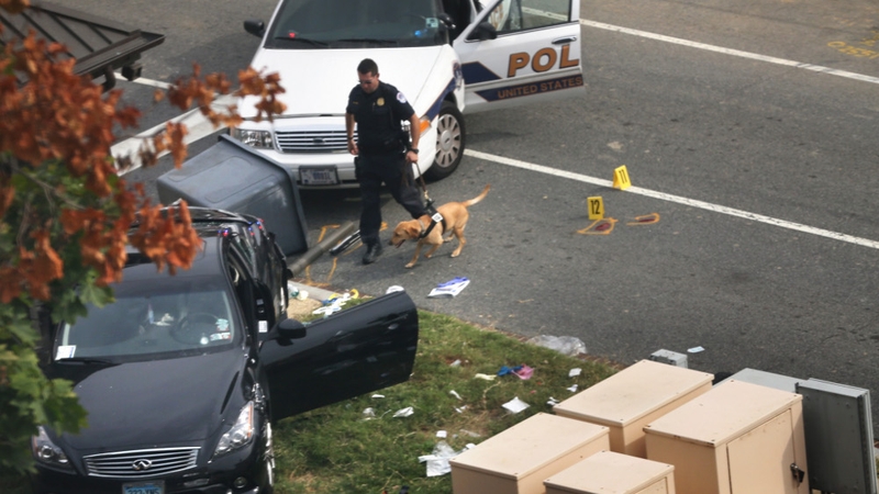 A police officer examines a car which was driven onto a grass verge