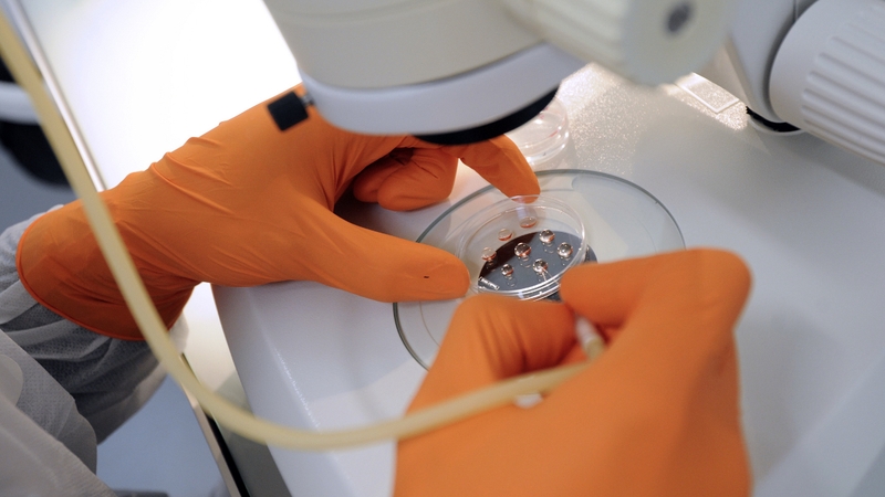 The group is testing stem cells derived from fat, which is injected into joints