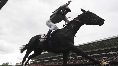 Thierry Jarnet rides Treve to win the Prix de l'Arc de Triomphe