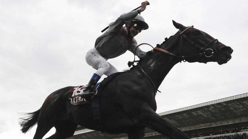 Treve took the Arc in some style