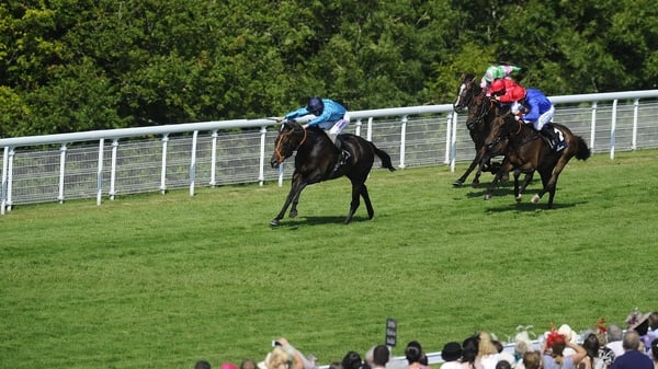 Brown Panther was an impressive winner of the Goodwood Cup