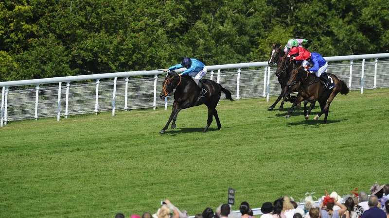 Brown Panther was an impressive winner of the Goodwood Cup