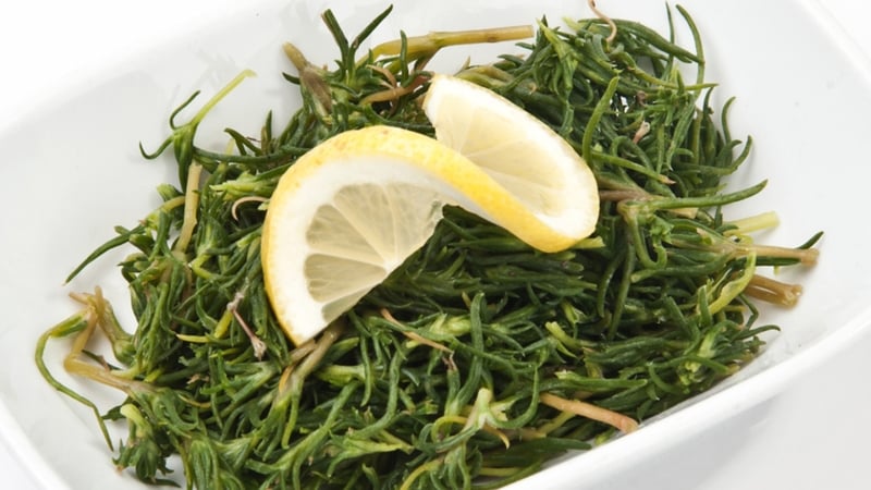 Kevin Dundon's Samphire Salad