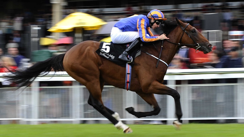 Great White Eagle has won his two starts to date with considerable ease