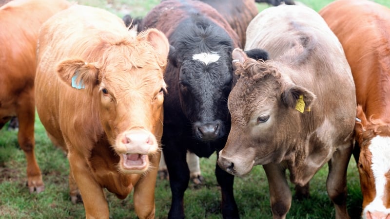 Food exports could be affected by the industrial action