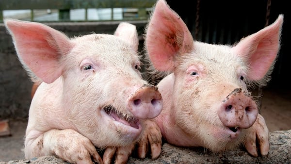 The IFA says customers have a right to know if what they think is Irish actually is