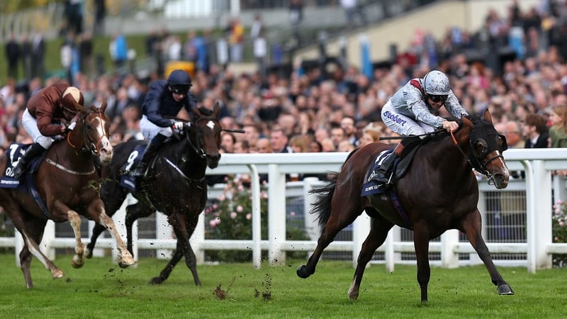 Olympic Glory routed his rivals on his most recent start in the QEII