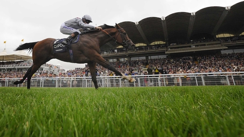 Toronado winning the Sussex Stakes earlier this season
