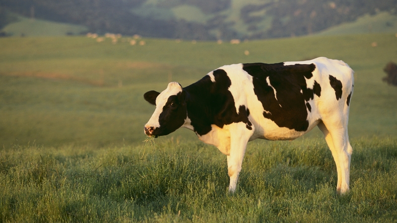 The scheme aims to incentivise earlier intergenerational transfers of farms